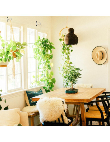 Ganchos de Techo AnDock 2Pack 2.5" para Plantas - Blanco