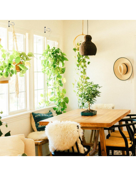 Ganchos de Techo AnDock 2Pack 2.5" para Plantas - Blanco