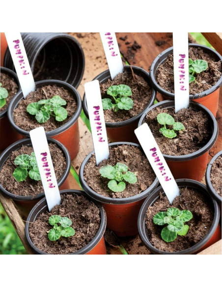 Macetas de Plástico TDHDIKE 10.16 cm para Vivero 50pcs