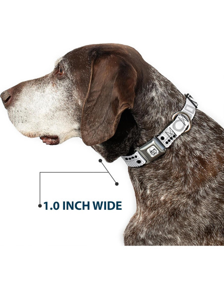 Collar para Perro Star Wars Buckle-Down 24.1-33 cm 2.54 cm