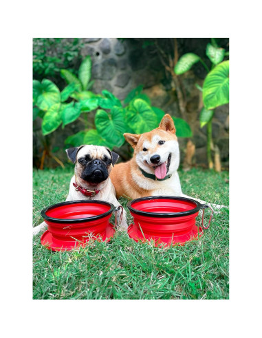 Cuenco Colapsable para Perros Tuff Pupper Rojo 1.18L
