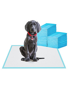 Alfombrillas de Entrenamiento Bestle 61x61 cm Absorbentes y a Prueba de Fugas