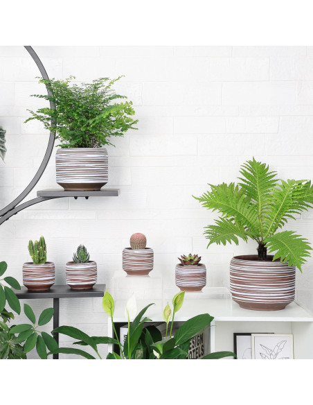 Juego de 4 Macetas de Cerámica 9.4 cm Bestseler con Drenaje