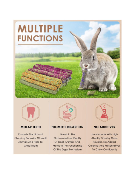 Bissap 22PCS Palitos Masticables para Conejos y Roedores