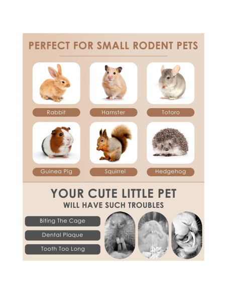 Bissap 22PCS Palitos Masticables para Conejos y Roedores