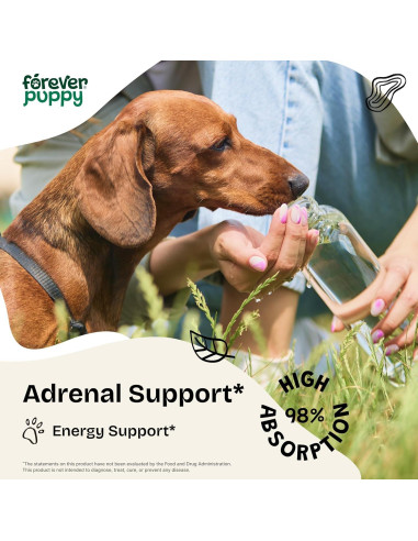 Gotas de Soporte Adrenal para Perros Forever Puppy 59 ml