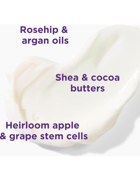 Loción Corporal Refrescante Andalou Naturals 226.8 ml Lavanda