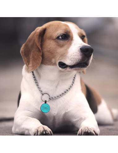 Etiqueta de Identificación QR para Perro MYLUCKYTAG Silicona 3x4cm