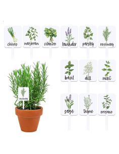 Etiquetas de Plantas Acrílico Whaline 24 Pcs 12 Diseños