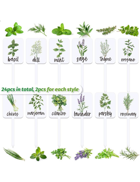 Etiquetas de Plantas Acrílico Whaline 24 Pcs 12 Diseños