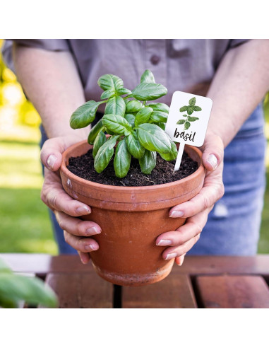 Etiquetas de Plantas Acrílico Whaline 24 Pcs 12 Diseños