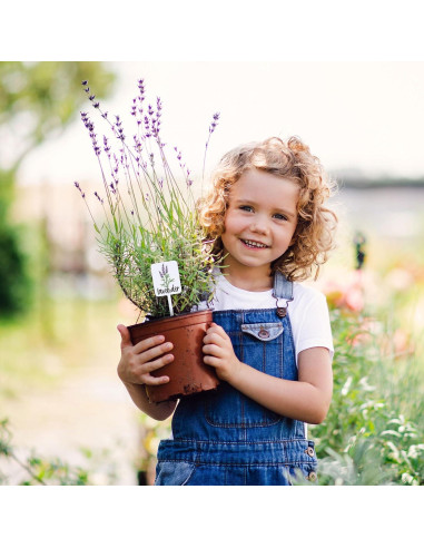 Etiquetas de Plantas Acrílico Whaline 24 Pcs 12 Diseños