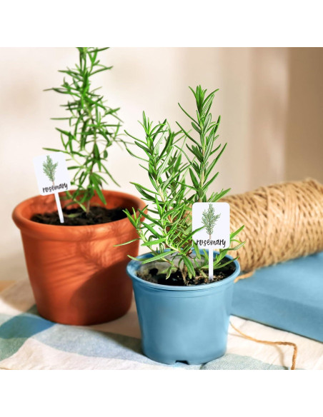 Etiquetas de Plantas Acrílico Whaline 24 Pcs 12 Diseños