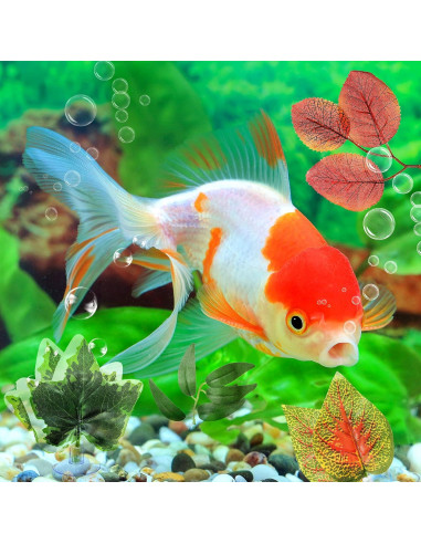 Cama de Hamaca para Peces Betta Patelai - 9 Estilos con Ventosa