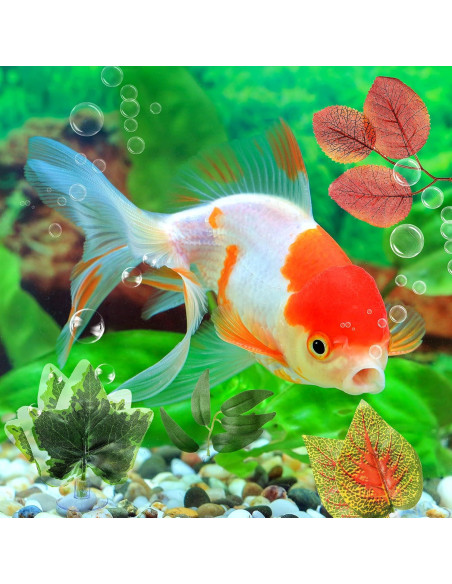 Cama de Hamaca para Peces Betta Patelai - 9 Estilos con Ventosa