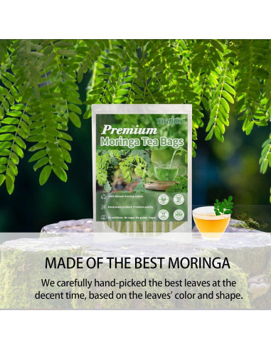 Té de Moringa Premium XICOFISS 120 Bolsitas 100% Natural