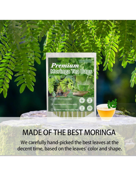 Té de Moringa Premium XICOFISS 120 Bolsitas 100% Natural