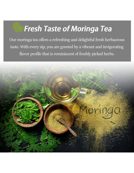 Té de Moringa Premium XICOFISS 120 Bolsitas 100% Natural