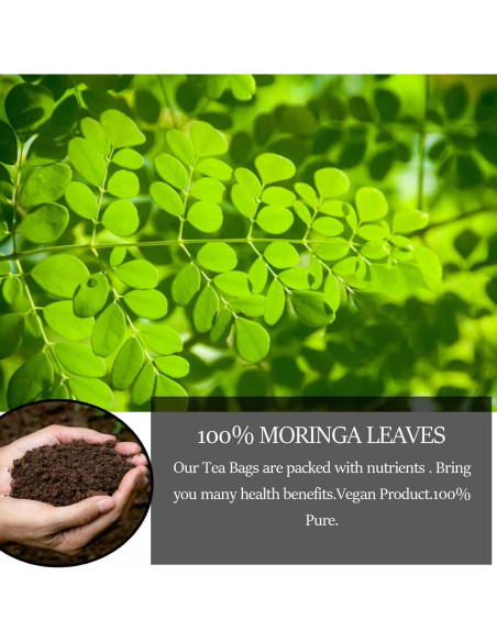 Té de Moringa Premium XICOFISS 120 Bolsitas 100% Natural