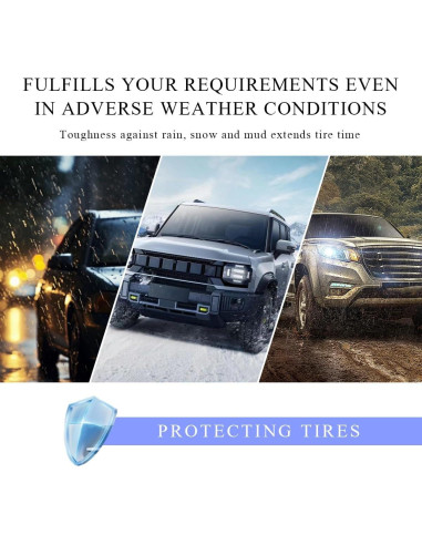 15 Tapones de Válvula de Neumático Gasedin - Ajuste Universal