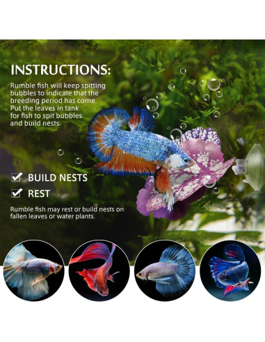 Hamaca para Betta Balacoo 2 Pcs Hoja Acuática con Ventosa