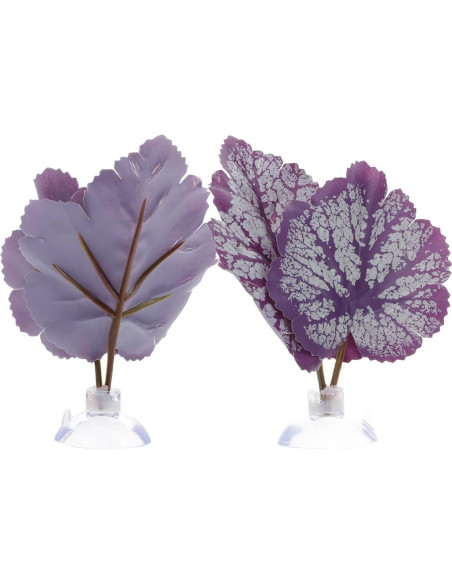 Hamaca para Betta Balacoo 2 Pcs Hoja Acuática con Ventosa