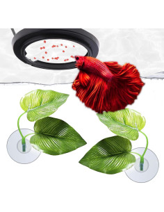 Hamacas de Hoja y Anillo Betta SunGrow - 2 Almohadillas y Alimentador 2