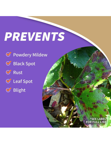 Fungicida Insecticida Bonide Captain Jack's 946ml Concentrado