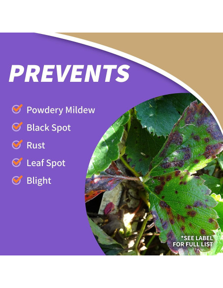 Fungicida Insecticida Bonide Captain Jack's 946ml Concentrado