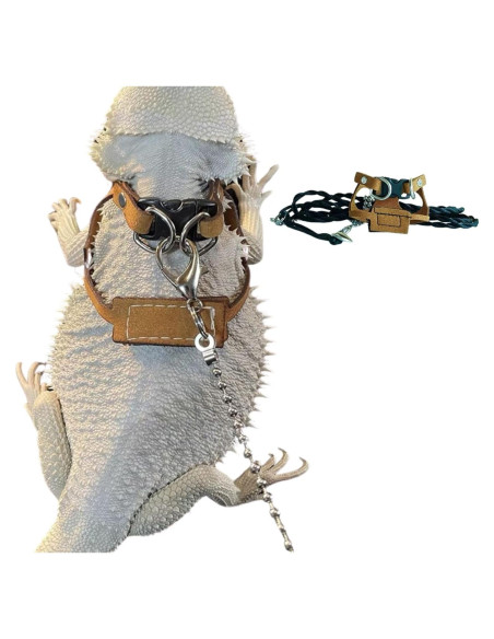 Arnés Ajustable para Dragón Barbudo KUNBIUH - M, L, XL