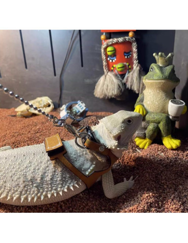 Arnés Ajustable para Dragón Barbudo KUNBIUH - M, L, XL