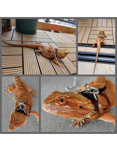 Arnés Ajustable para Dragón Barbudo KUNBIUH - M, L, XL