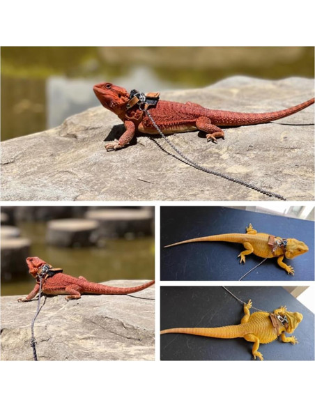 Arnés Ajustable para Dragón Barbudo KUNBIUH - M, L, XL