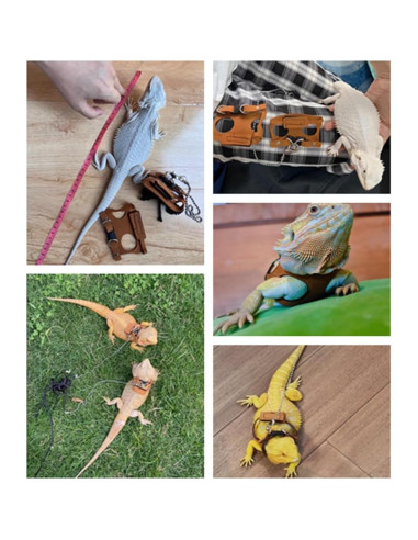 Arnés Ajustable para Dragón Barbudo KUNBIUH - M, L, XL