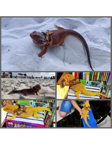 Arnés Ajustable para Dragón Barbudo KUNBIUH - M, L, XL