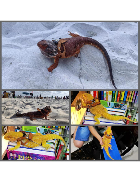 Arnés Ajustable para Dragón Barbudo KUNBIUH - M, L, XL