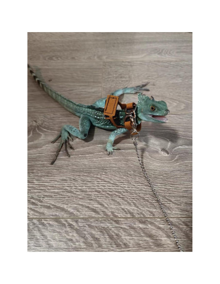 Arnés Ajustable para Dragón Barbudo KUNBIUH - M, L, XL