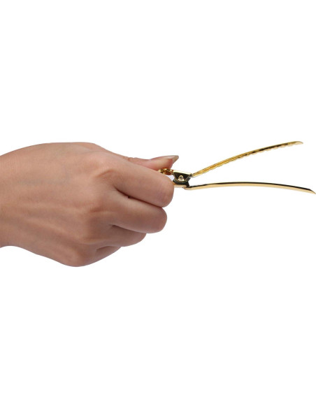 Pinzas de acero inoxidable RSV para cabello - 12 clips oro