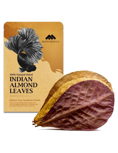 Hojas de Almendra India Premium AMA GROW 50g 15-23 cm para Acuarios
