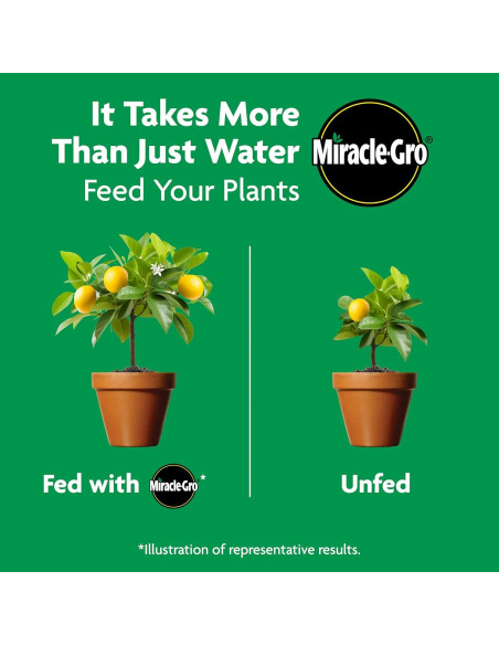 Alimento para Plantas Miracle-Gro 2.04 kg Cítricos Aguacate Mango