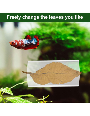 Accesorios para Acuario Betta 2 Piezas - Túnel y Almohadilla