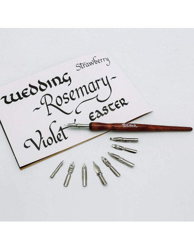 Juego de Pluma de Caligrafía Mont Marte 10 Piezas con 9 Puntas