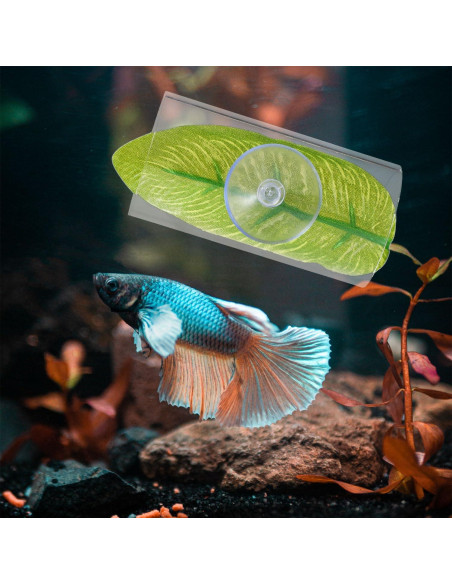 Accesorios para Acuario Betta 2 Piezas - Túnel y Almohadilla