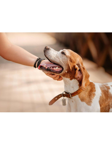 Kit de Estampado de Metal DkOvn 37 Piezas 3mm Letras y Números