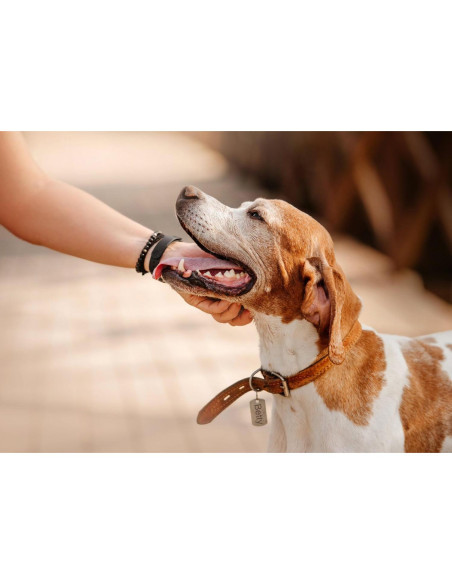 Kit de Estampado de Metal DkOvn 37 Piezas 3mm Letras y Números