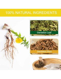 Té de Diente de León Natural T'SMOMENT - 40 Bolsitas Sin Cafeína 2