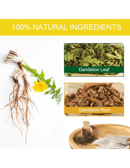 Té de Diente de León Natural T'SMOMENT - 40 Bolsitas Sin Cafeína