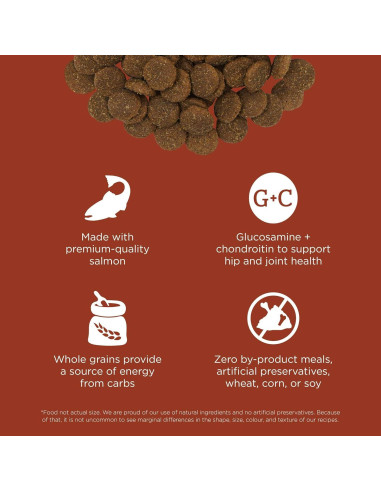 Comida Seca para Perros Go! Soluciones Salmón 5.44 kg