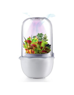 Maceta de Terrario Inteligente para Suculentas y Plantas Carnívoras - Shenzhen Dragon-Lily