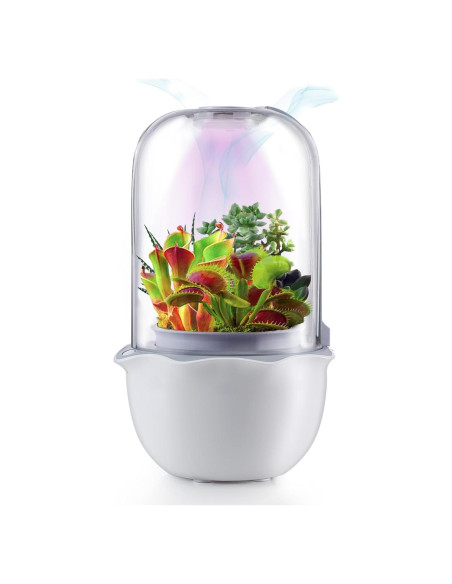 Maceta de Terrario Inteligente para Suculentas y Plantas Carnívoras - Shenzhen Dragon-Lily